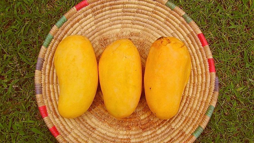 Sindhri mango on wicker