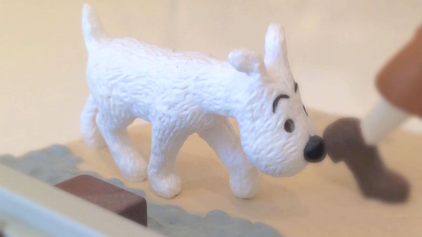 Snowy (Tintin book series)