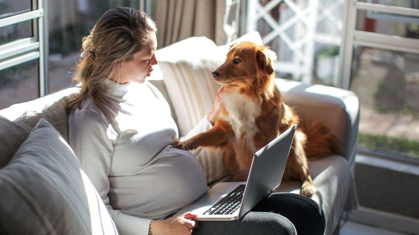 Expecting Moms: What Is Your Pregnancy Spirit Animal?