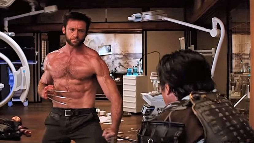 28 The Wolverine