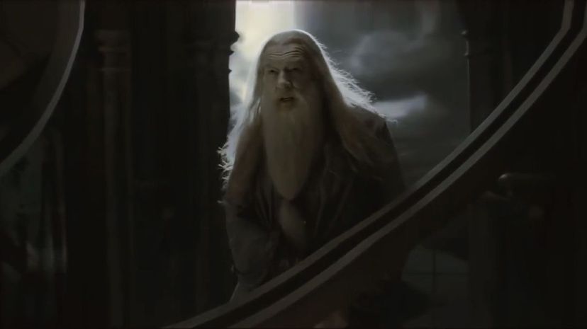 Albus Dumbledore20