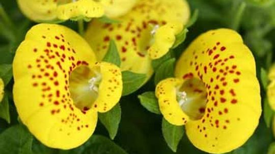 钱包工厂＂width=