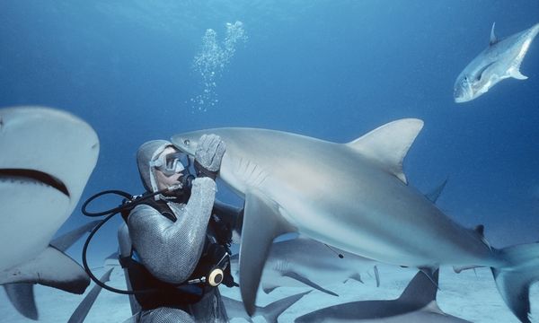 Poking Shark Eye