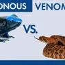 Venomous vs. Poisonous: Is There a Difference?