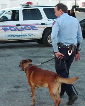 why do policemen keep dogs