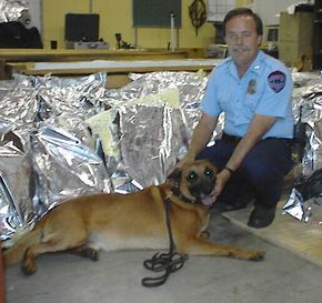 what do police dogs find