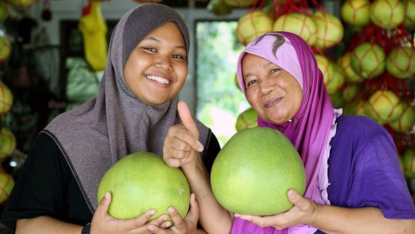 pomelo