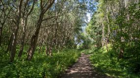 poplar point trail