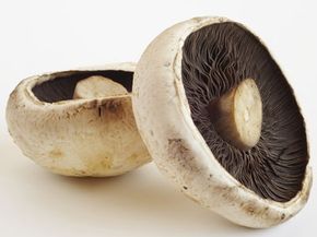 Brown agaricus mushrooms include cremini and portobellos, though they're really the same thing: Portobellos are just mature cremini.