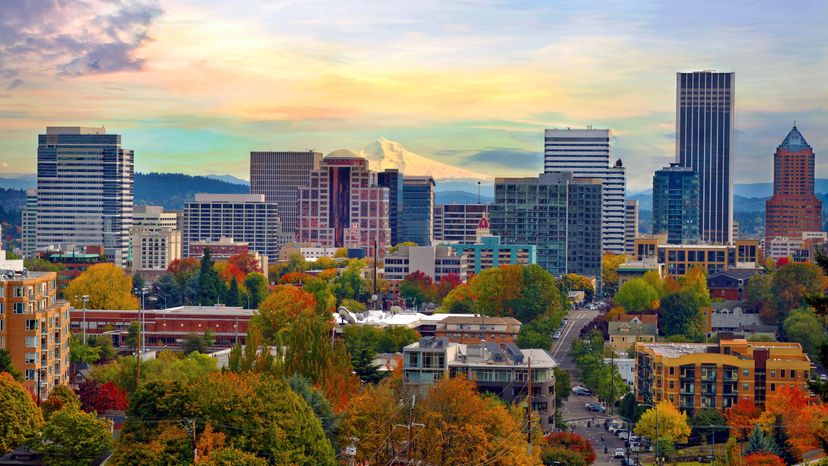 Portland Oregon downtown from Vista Bridge with view of Mount Hood City Skyline and garden with trees 