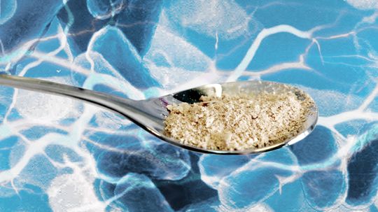 Researchers Create Protein Powder With Just Microbes, Electricity, CO2 and Water