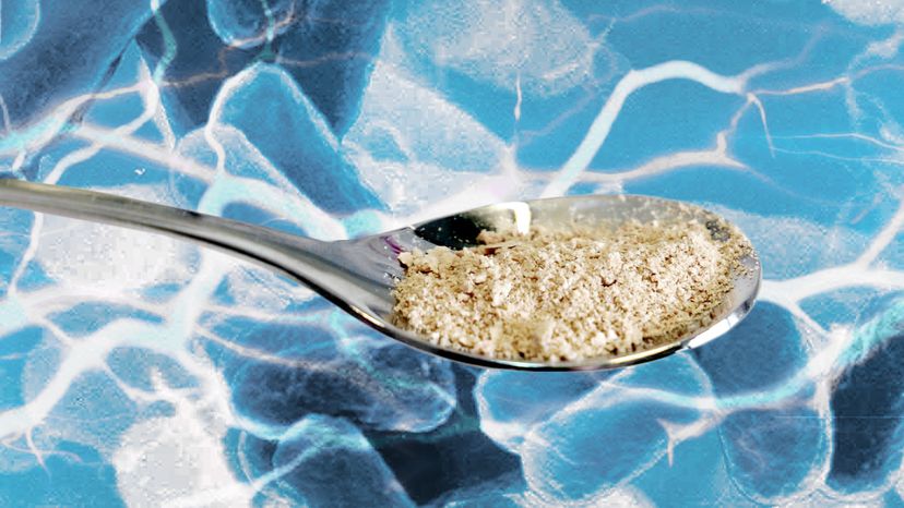 Protein powder made from microbes, carbon dioxide, water