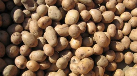 Potatoes: Natural Weight-Loss Foods