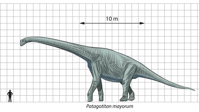 雷龙Patagotitan”border=