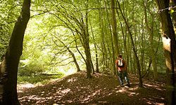 hiker training