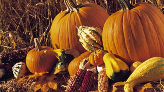 Our Easy Guide for Prepping Pumpkin