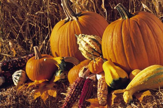 我们准备南瓜的简单指南＂class=