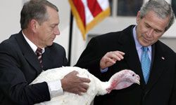 One pardon has become an annual tradition: the pardoning of the Thanksgiving turkey.