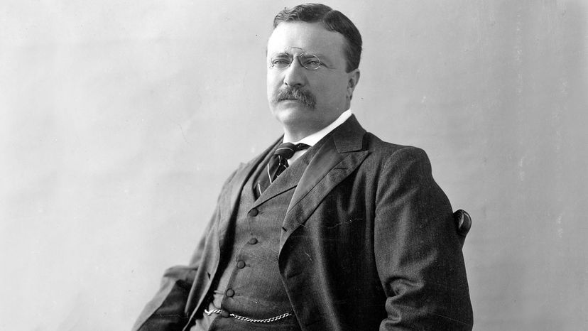 Theodore Roosevelt