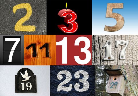 What Are Prime Numbers, and Why Do They Matter? - Vimarsana News