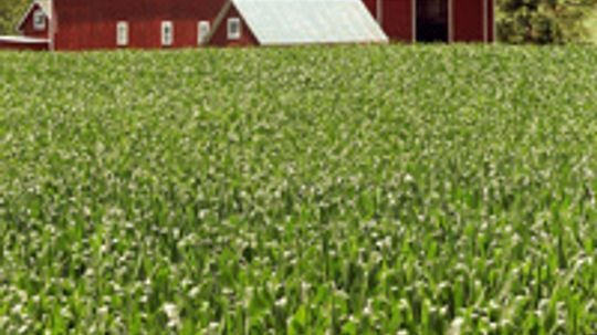 How Real Estate Property Taxes Work