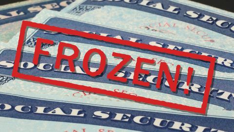 How to Future-proof Your Child's Credit From Fraud - Vimarsana News