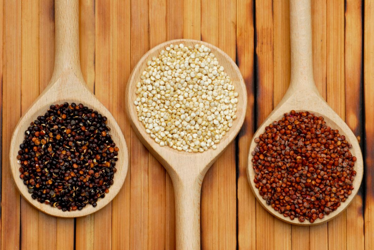 How Quinoa Works HowStuffWorks