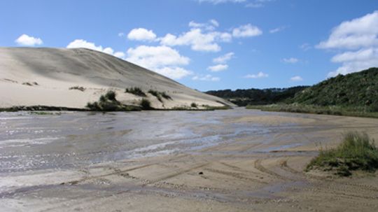 What if two people stumbled into quicksand: Would the heavier person sink faster?