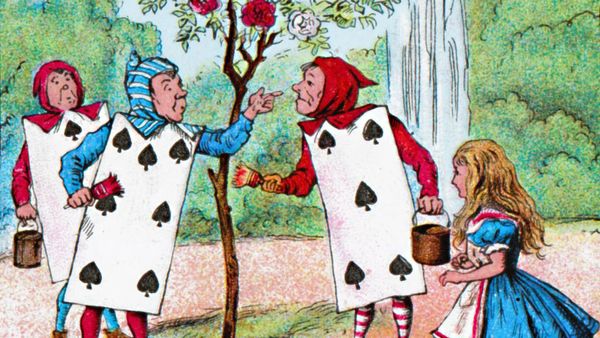 playing cards, Alice in Wonderland