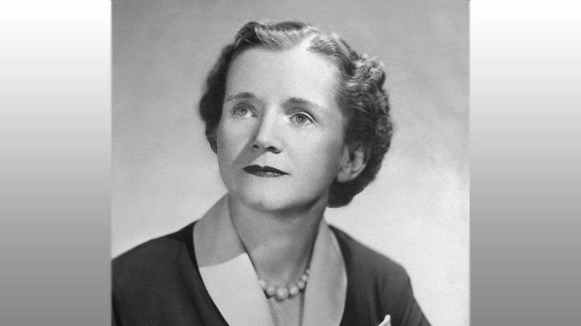 Rachel Carson Silent Spring