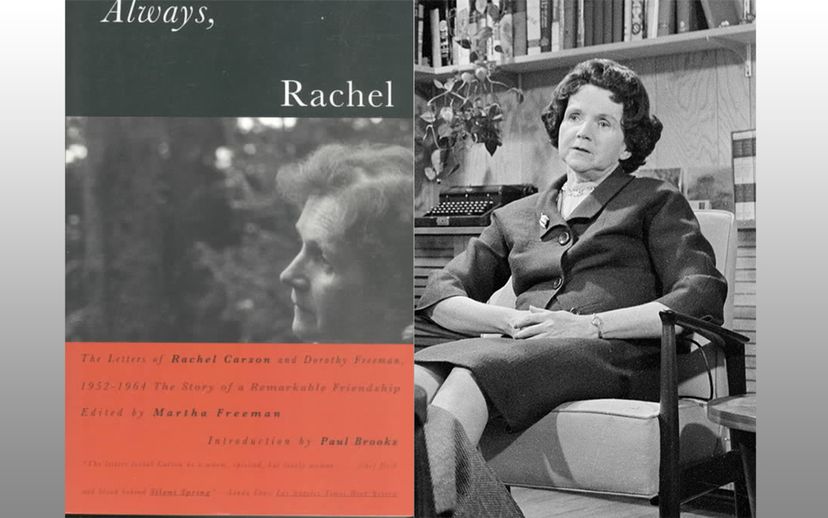 Rachel Carson Dorothy Freeman
