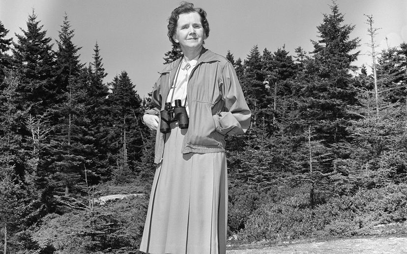 Rachel Carson Dorothy Freeman