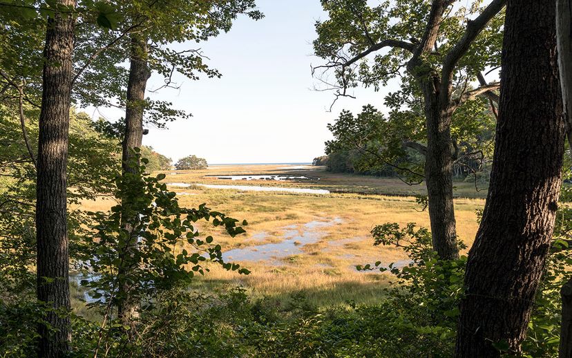 Rachel Carson National Wildlife Refuge