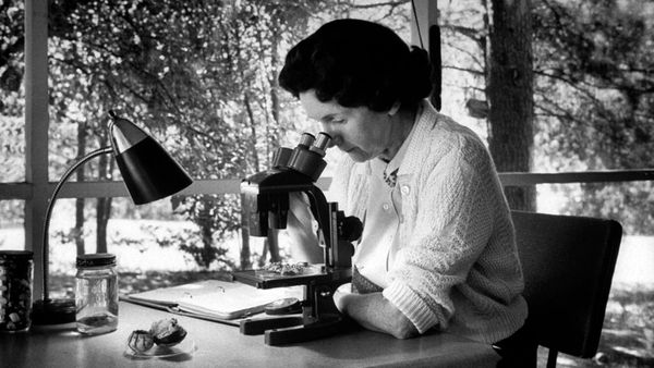 Person exploring science through education with microscope.