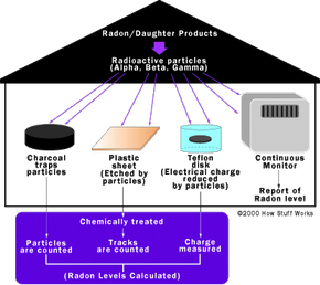 Passive radon detector kit - Domestic