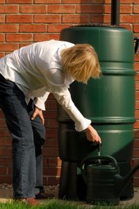 Rainwater is perfect for watering your plants, flowers and grass. You can also use it to wash your car.