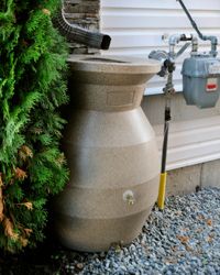 rain barrel