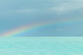 Not only do no two people see the same rainbow, each of your two eyes sees a different one.