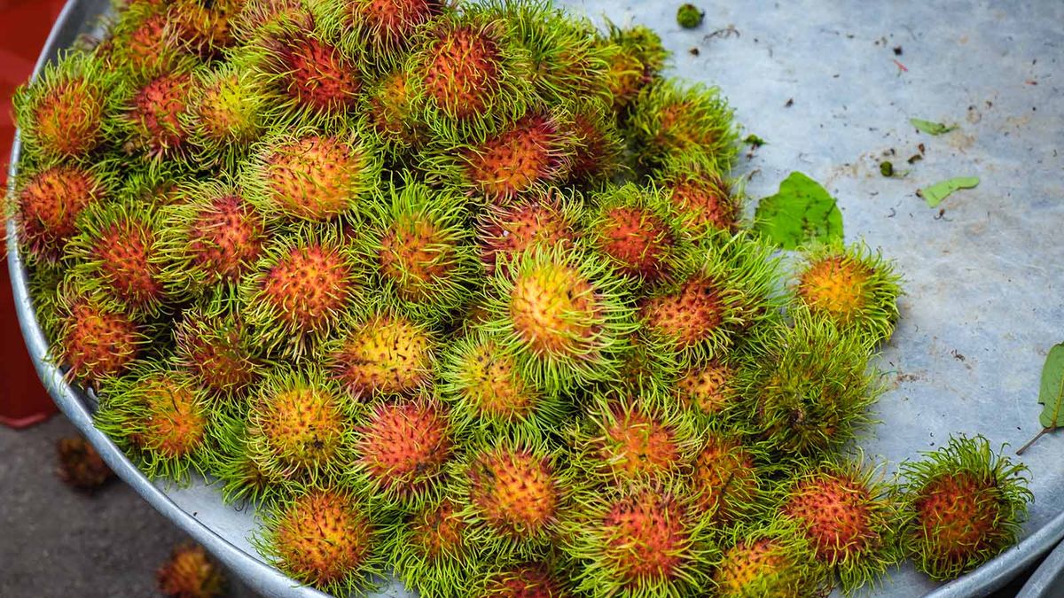 Rambutan Is the ‘Hairier’ Cousin of the Lychee Fruit