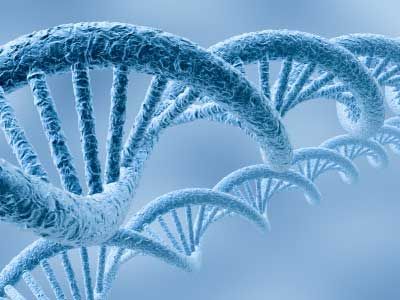 Biology magnified in molecular spiral structure.