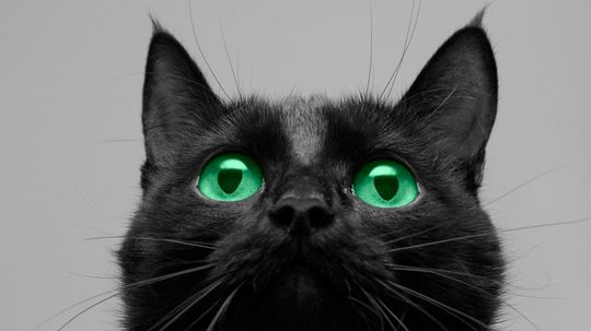 5 Superstitions With Oddly Rational Origins