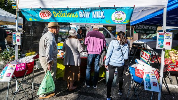 raw milk stand