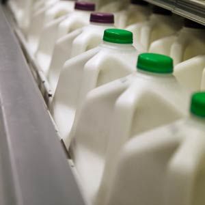 Containers of milk in store refrigerator.