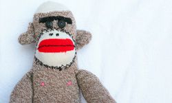 sock monkey