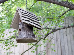 Fancy but rustic style option for bird house-hunters.