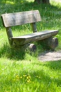 old wooden bench at a park in munich