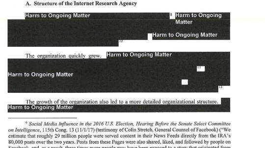 How and Why Are Documents Redacted?