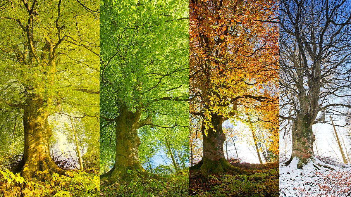 As Earth's Climate Changes, Is It Time to Redefine the Four Seasons