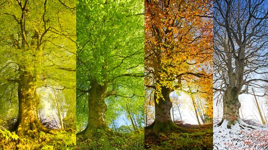 As Earth's Climate Changes, Is It Time to Redefine the Four Seasons?