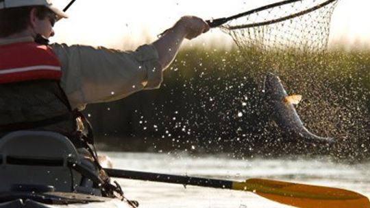 Top 3 Redfish Fishing Techniques